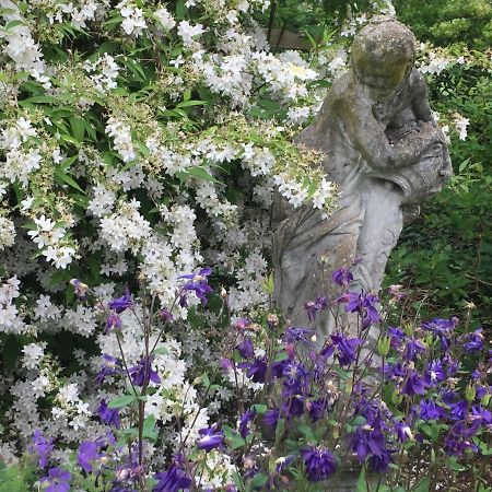 Seymours Court Bed and Breakfast Beckington Εξωτερικό φωτογραφία