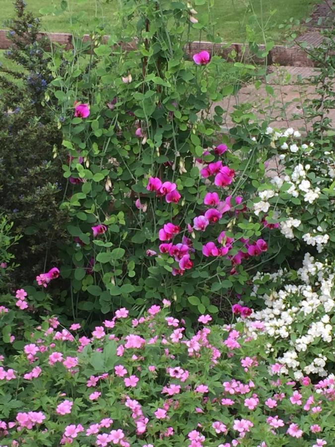 Seymours Court Bed and Breakfast Beckington Εξωτερικό φωτογραφία