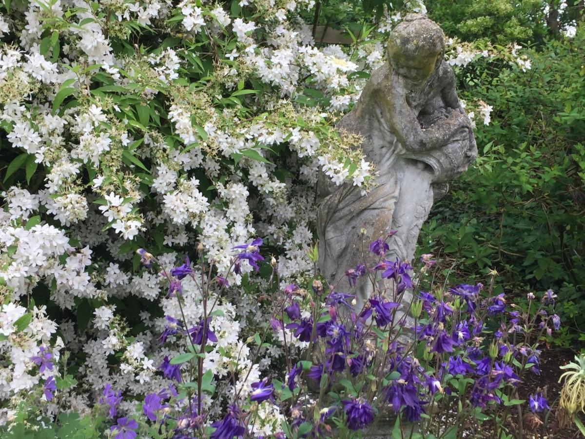 Seymours Court Bed and Breakfast Beckington Εξωτερικό φωτογραφία